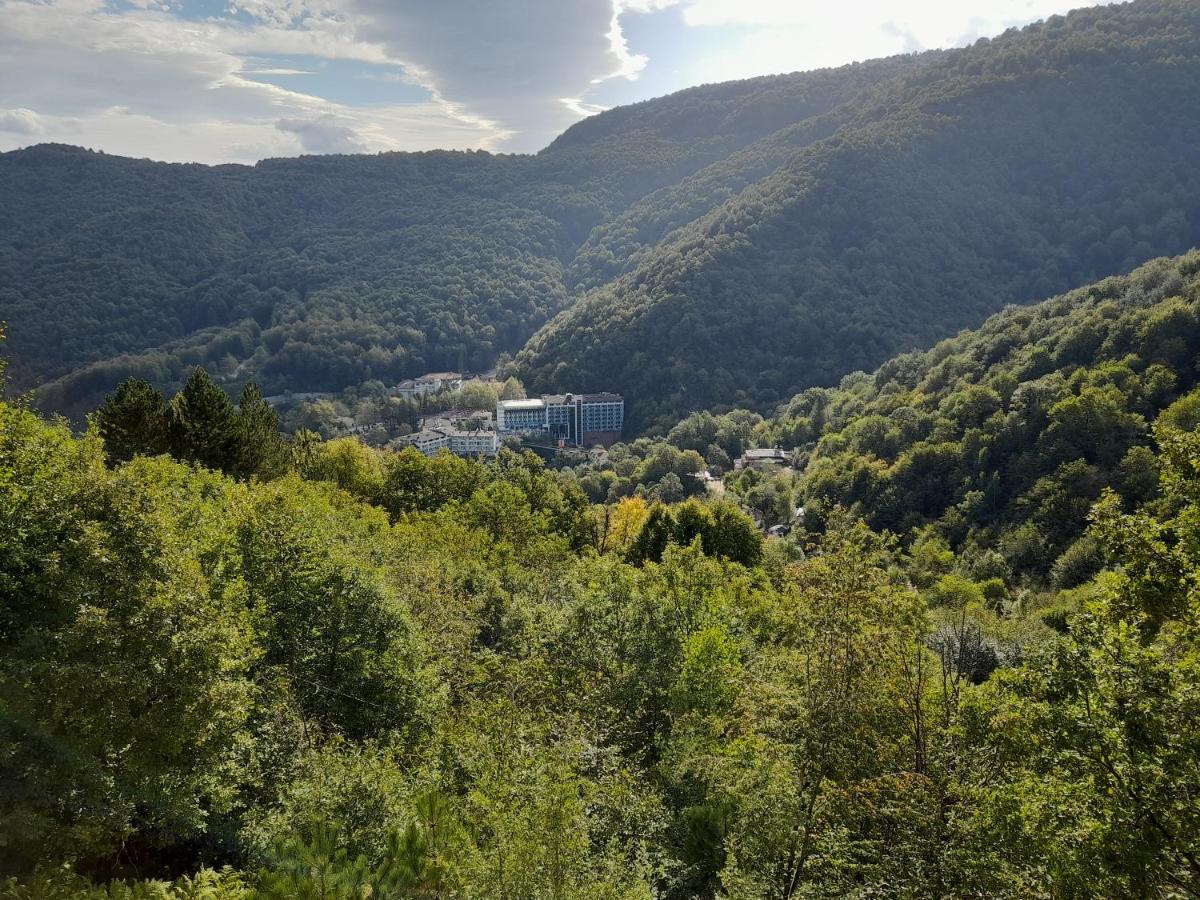 Turkish Retreat Bed & Breakfast Saadet Екстериор снимка